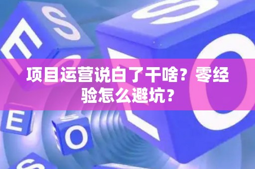 项目运营说白了干啥？零经验怎么避坑？